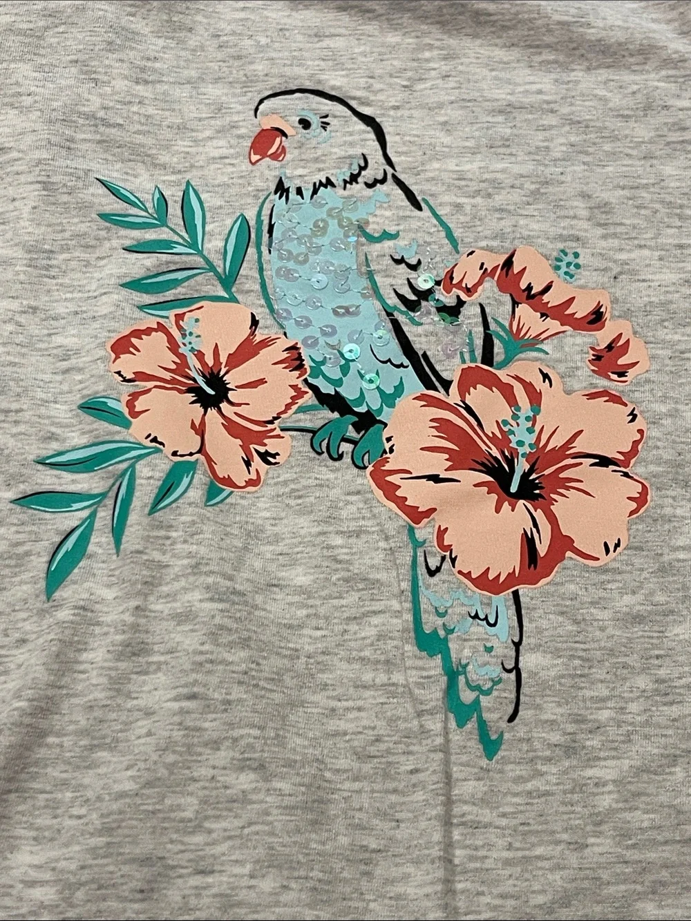 Girls' Parrot Graphic Short Sleeve Tee & Aqua Crewneck Top, size 7/8